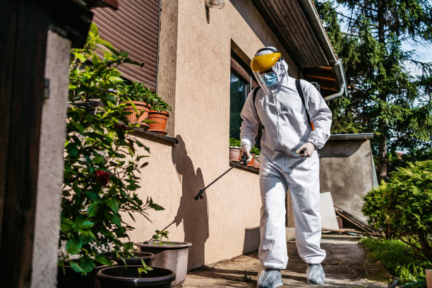Best Wasp Removal Services  in Lake Lorraine, FL